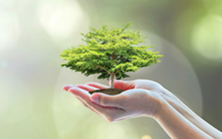 サステナビリティ